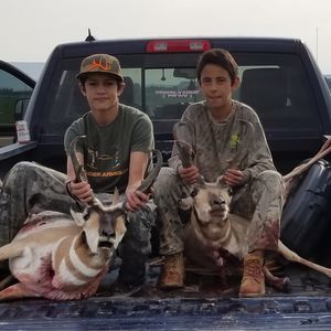 Meet your Posher, Mario